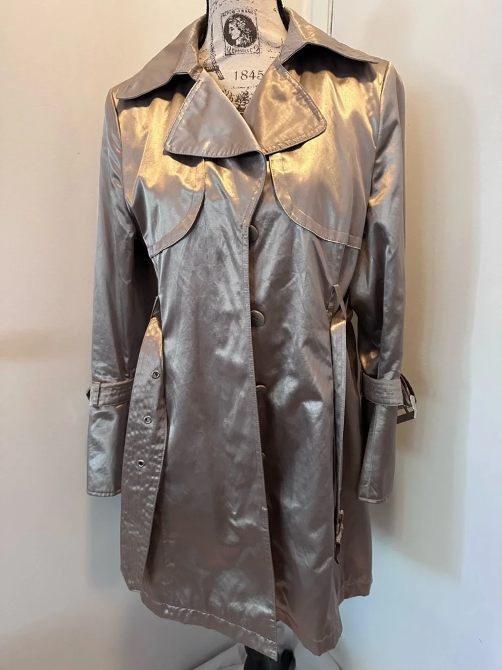 Metallic Gold Trench Coat with Belt - Picture 2 of 14